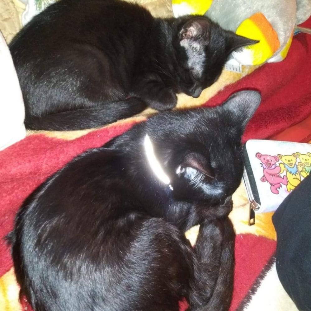 Circe and Cearus